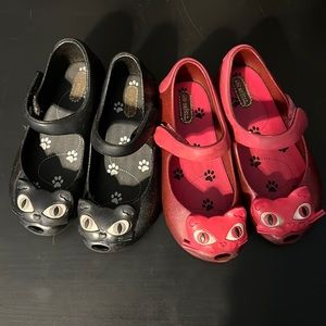 Cat Mini Melissa’s